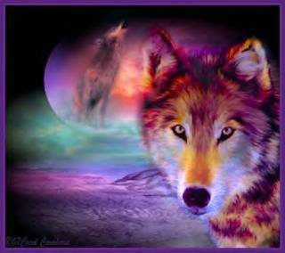 wolves_purple.jpg